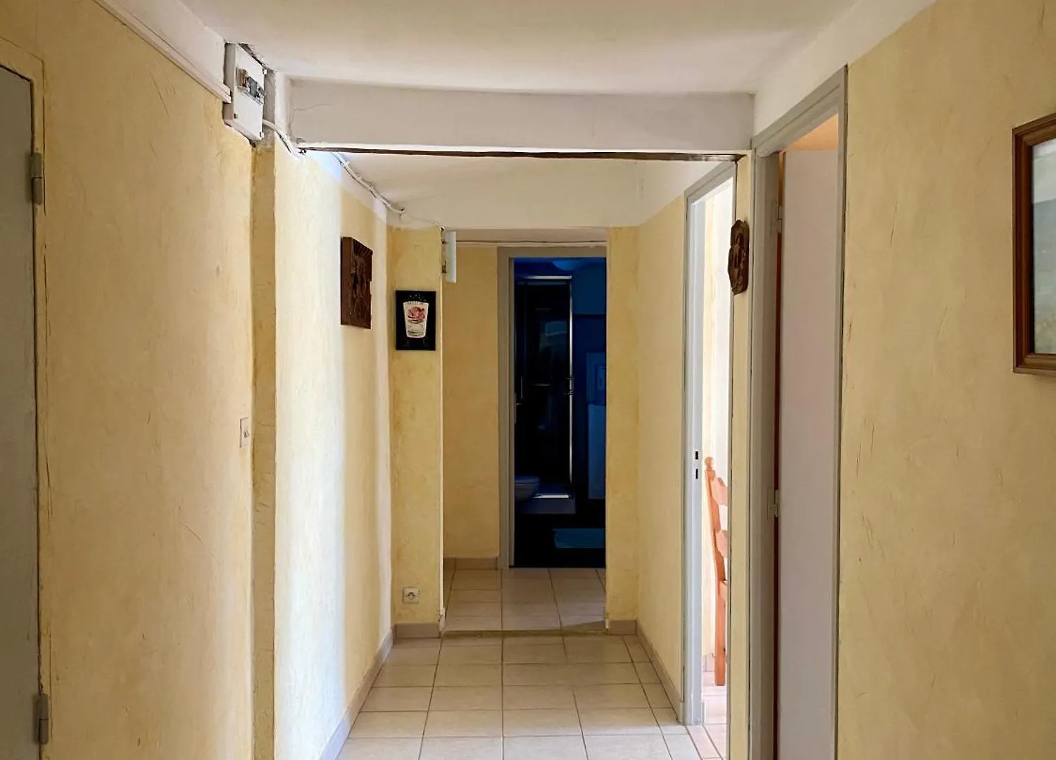 Le Micocoulier Apartment La Crau